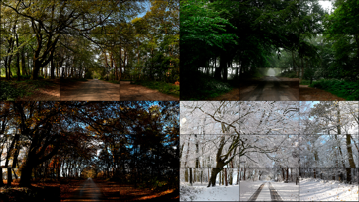 The Four Seasons, Woldgate Woods, instalación audiovisual de David Hockney que muestra un camino de Yorkshire durante las cuatro estaciones del año.